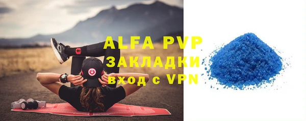 прущие грибы Абинск