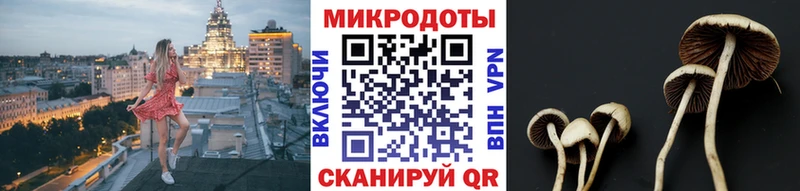 darknet состав Касимов Псилоцибиновые грибы Psilocybe